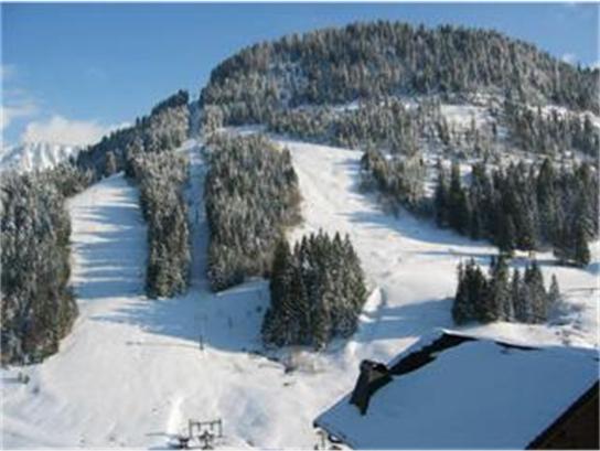 Winter view